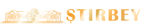 logo stirbei